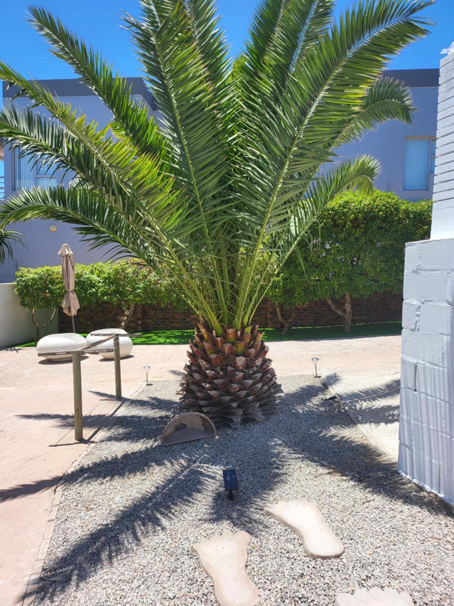 Beach Style Cottage Langebaan Luaran gambar